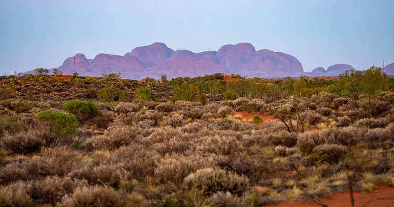 Kata Tjuta: Valley of the Winds Circuit Hike