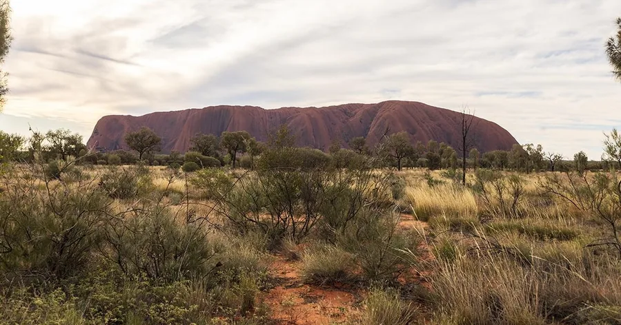 Uluru on the horizon across green desert scrub under a high, hazy sky